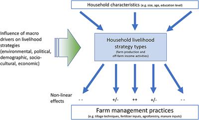 Unpicking the Inter-relationships Between Off-Farm Livelihood Diversification, Household Characteristics, and Farm Management in the Rural Andes